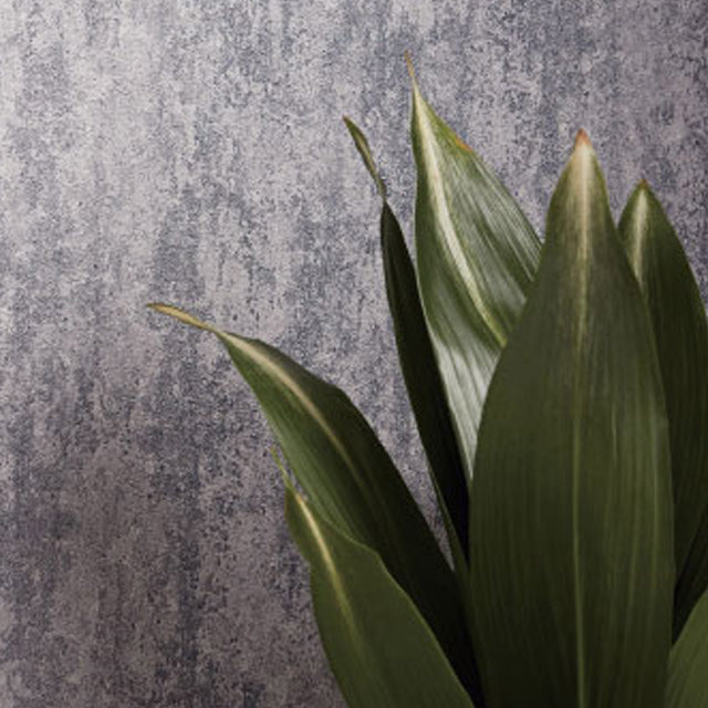 (Zen Wallpaper Japan Quality)wallpapers wall coating PVC RE51031-51033