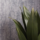 Zen interior Wallpaper Japan Quality