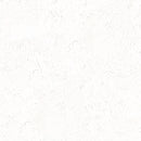 ★Outlet★SLP-647 SINCOL Wallpaper  (Stone）