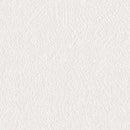 ★Outlet★SLP-819  SINCOL Wallpaper (Crack resistant & lightweight）