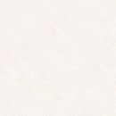 ★Outlet★SLP-875  SINCOL Wallpaper (Stone）