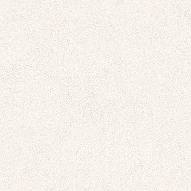 ★Outlet★SLP-876  SINCOL Wallpaper (Stone）