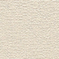 ★Outlet★SP2858 Sangetsu Wallpaper (Textile style）