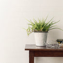 Zen interior Wallpaper Japan Quality