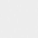 Zen interior PVC decorative film Japan Quality