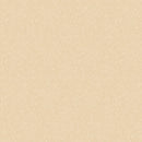 (Zen loose-lay floor vinyl tile Japan Quality)  Placement PVC floor tiles Tiles TTN1001- 1116 TOLI【10 items per case】