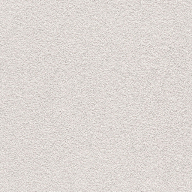 ★Outlet★TWS8002 TOKIWA Wallpaper  (stone grain  / thickness type / antifungal)