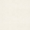 ★Outlet★TWS8019 TOKIWA Wallpaper  (stone grain  / thickness type / antifungal)