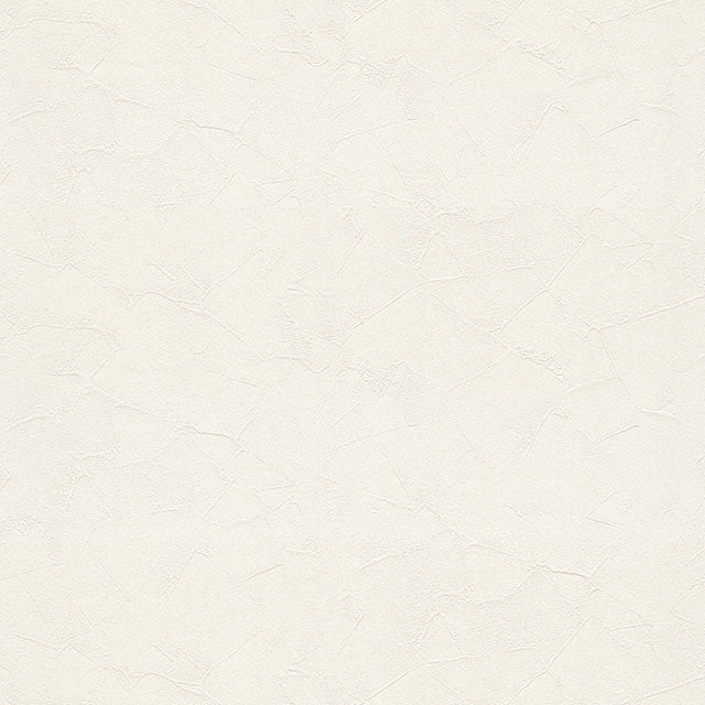 ★Outlet★TWS8019 TOKIWA Wallpaper  (stone grain  / thickness type / antifungal)