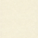 ★Outlet★TWS8021 TOKIWA Wallpaper  (stone grain  / thickness type / antifungal)