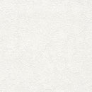 ★Outlet★TWS8022 TOKIWA Wallpaper  (stone grain  / thickness type / antifungal)