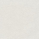 ★Outlet★TWS8024 TOKIWA Wallpaper  (stone grain  / thickness type / antifungal)