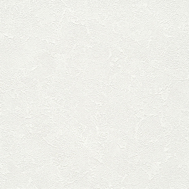 ★Outlet★TWS8026 TOKIWA Wallpaper  (stone grain  / thickness type / antifungal)