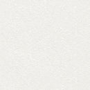 ★Outlet★TWS8028 TOKIWA Wallpaper  (stone grain  / thickness type / antifungal)