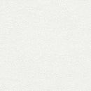 ★Outlet★TWS8030 TOKIWA Wallpaper  (stone grain  / thickness type / antifungal)