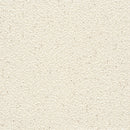 ★Outlet★TWS8050  TOKIWA Wallpaper  (stone grain  / thickness type / antifungal)