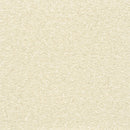 ★Outlet★TWS8086 TOKIWA Wallpaper  (stone grain  / thickness type / antifungal)