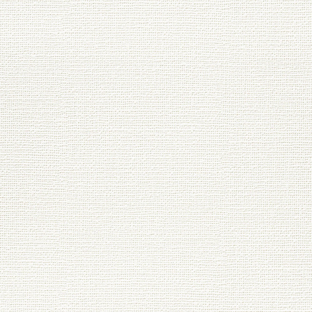 ★Outlet★TWS8088 TOKIWA Wallpaper  (stone grain  / thickness type / antifungal)