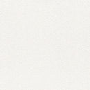 ★Outlet★TWS8090  TOKIWA Wallpaper  (stone grain  / thickness type / antifungal)