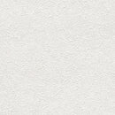 ★Outlet★TWS8092  TOKIWA Wallpaper  (stone grain  / thickness type / antifungal)