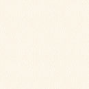 Altino [Leather] 6 colors with a soft touch and subdued colors (VN~) 1,220mm