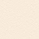 ★Outlet★VS9010 TOLI Wallpaper (Antifungal）