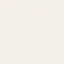 ★Outlet★VS9034 TOLI Wallpaper (Antifungal）