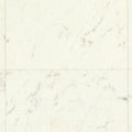 CF3547  Pet-friendly stone Vinyl floor sheet TOLI  (Floor sheet Japan Quality)