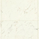 CF3547  Pet-friendly stone Vinyl floor sheet TOLI  (Floor sheet Japan Quality)