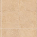 CF3566 Pet-friendly stone Vinyl floor sheet TOLI  (Floor sheet Japan Quality)