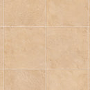 CF3566 Pet-friendly stone Vinyl floor sheet TOLI  (Floor sheet Japan Quality)