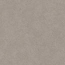 CF3570, CF3571  Pet-friendly Stone Vinyl floor sheet TOLI  (Floor sheet Japan Quality)